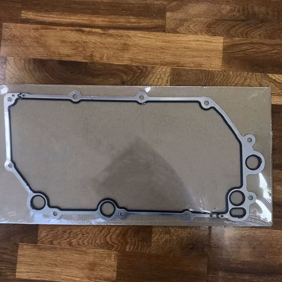 Auto Spare Parts Oil Cooler Gasket for European Truck OE 1746135 2096561 1921895