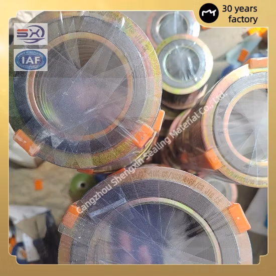 Graphite Filled Spiral Wound Gasket with Inner and Outer Ring